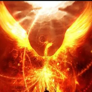 ? Ｒventric的头像-wordpress插件