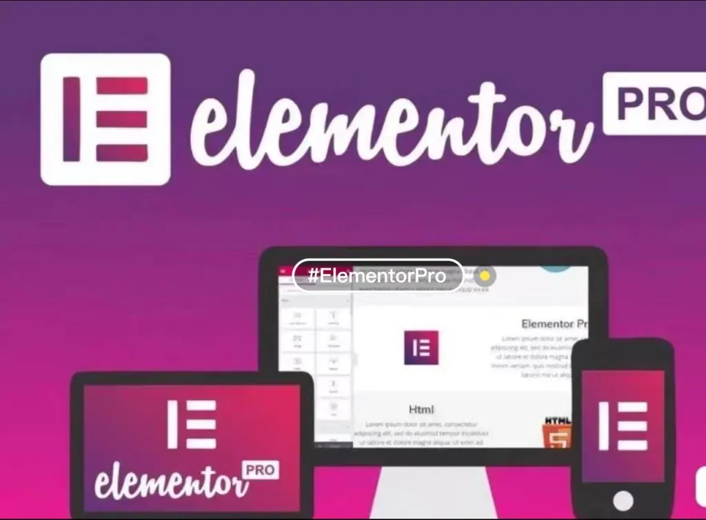 第1000个【正版授权】elementor pro插件